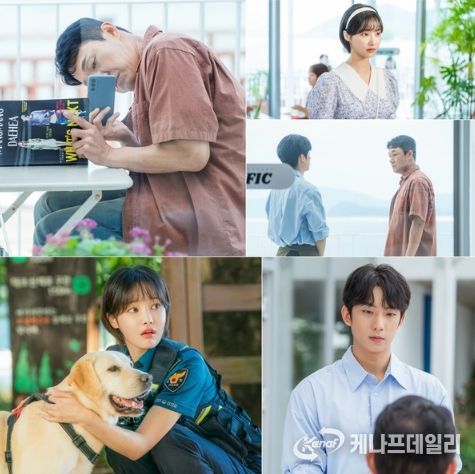 사진 제공: 아이엠티브이