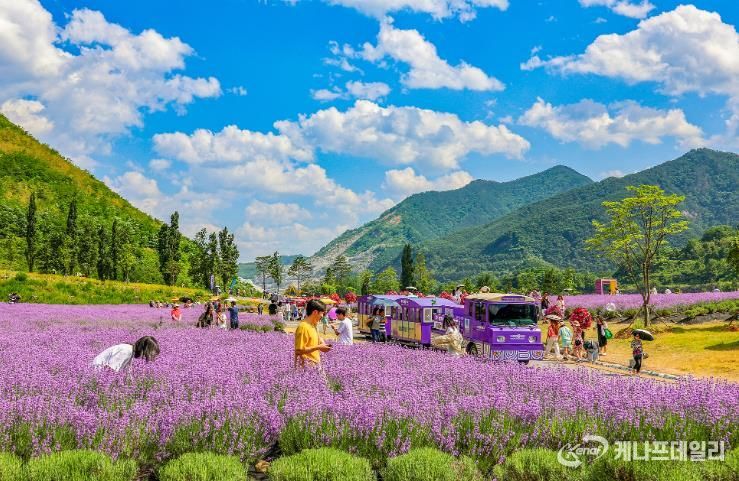 동해무릉별유천지 방문객 50만 돌파,‘인기 몰이’