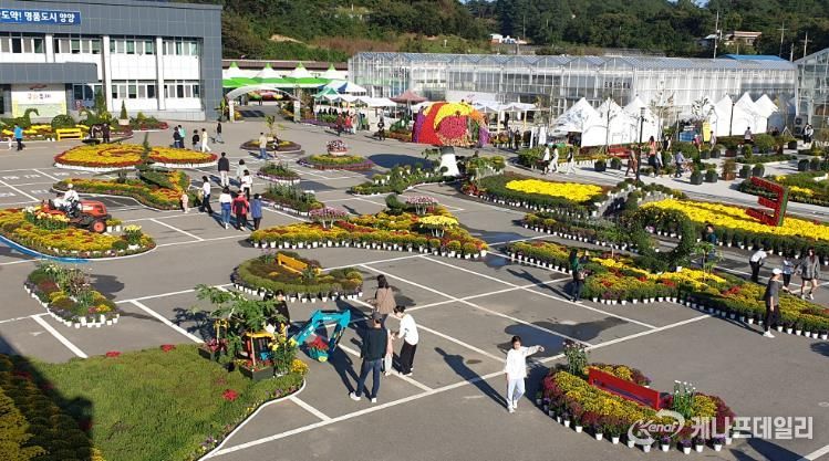 양양군, 양양 국화축제 10월 27일까지 연장 운영