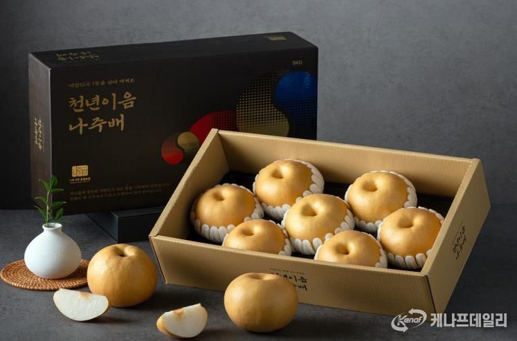 나주시, 생장촉진제 무처리 ‘고품질 나주배’ 재배 확대 교육