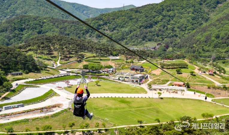 정읍 구절초 짚와이어, 27일 개장