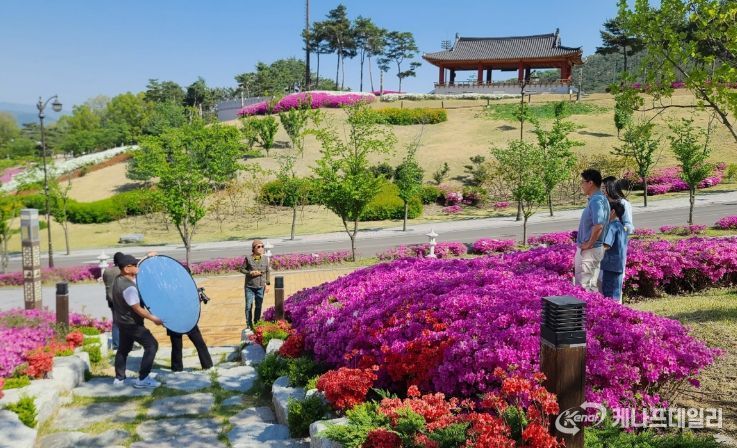 경주시 화랑마을에서 ‘다둥이 가정 행복 사진전’ 참가 가족이 봄꽃을 배경으로 촬영하고 있다. 이 사진들은 다음달 황리단길 생활문화센터와 시청 민원실에서 전시될 예정이다.