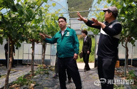 정영철 영동군수, 우박 피해 현장 방문 “피해 농가 회복에 군 역량 총동원”