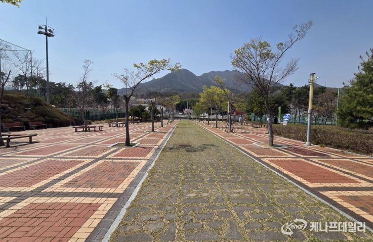 월드컵빌리지 일원 ‘기후대응 도시숲 조성사업’