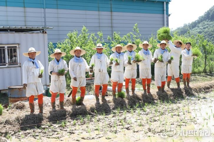 농촌지도자 청양군연합회, ‘권농일 손모내기’ 행사 열어