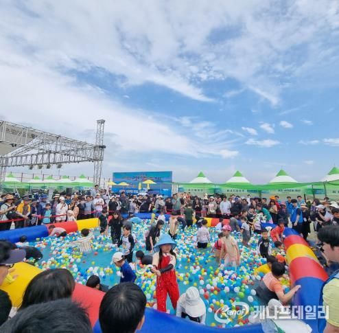 갯벌축제(3일차 장어잡기)