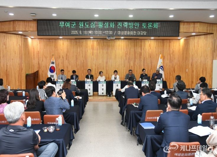 부여군 원도심 활성화 방안 전략방안 토론회