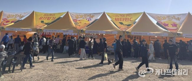 전남 친환경농업인 어울마당