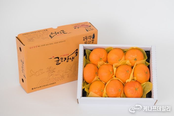 제주시 만감류 설 선물세트